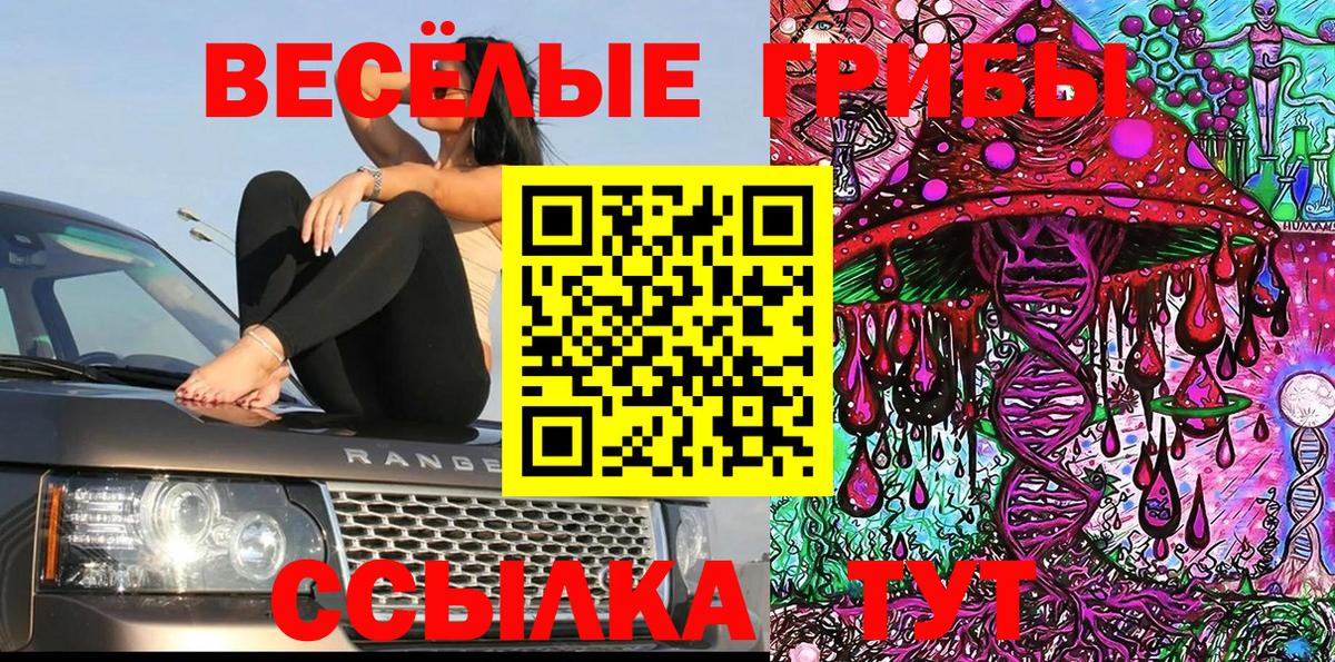 Галлюциногенные грибы мицелий  цены   Зеленокумск  Псилоцибиновые грибы ЛСД  Вход с VPN 